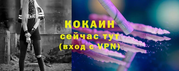 стаф Баксан