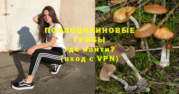 стаф Баксан