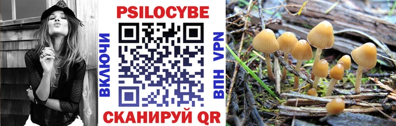 Псилоцибиновые грибы Cubensis Борзя